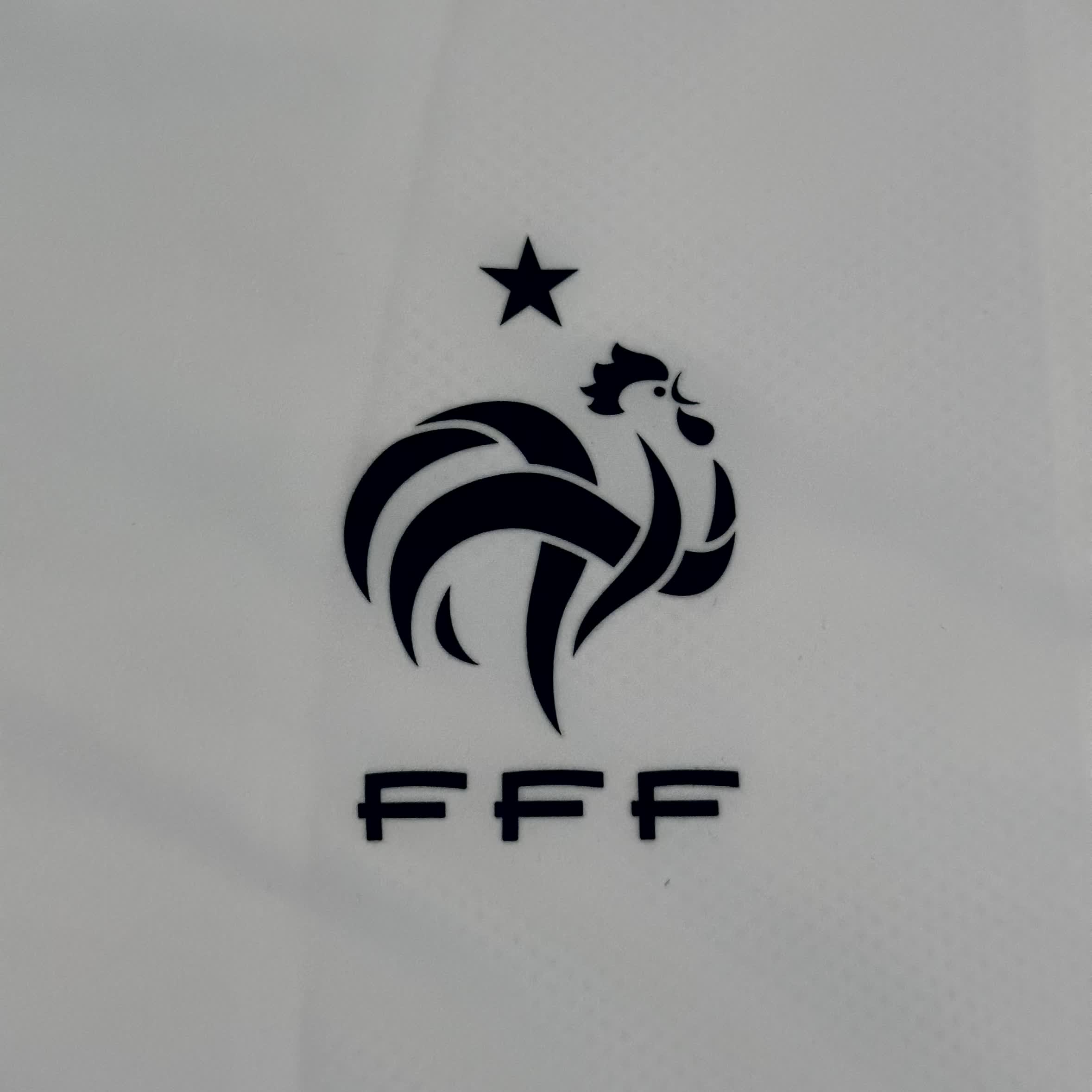 Nike x France Vintage Jacket 2010