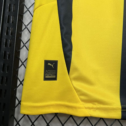 Trikot von Fenerbahce l 24/25 