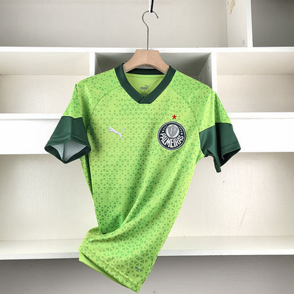 Jersey Palmeiras 24-25 TrainingKit
